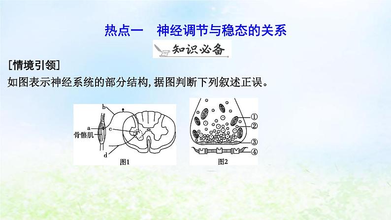 2023届高考生物二轮复习第12讲人体和动物的稳态与调节课件第6页