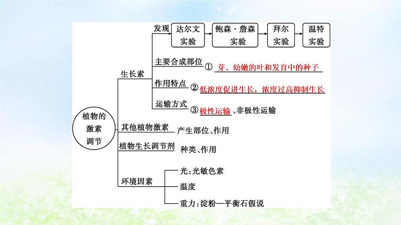 2023届高考生物二轮复习第13讲植物的激素调节课件第4页