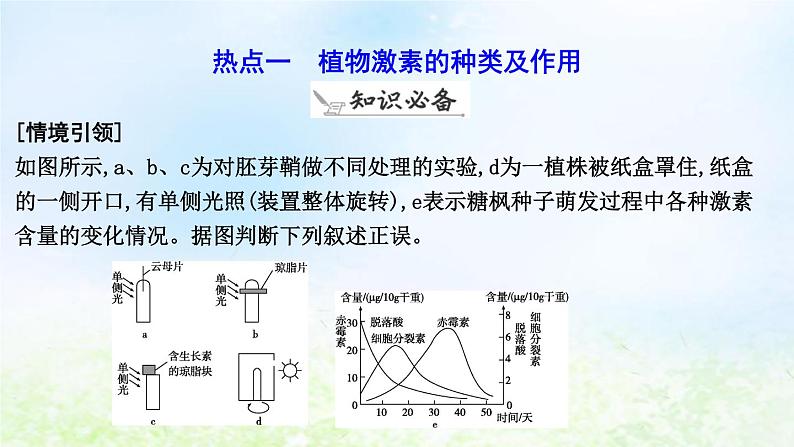 2023届高考生物二轮复习第13讲植物的激素调节课件第6页