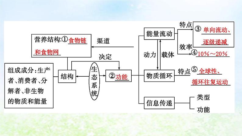 2023届高考生物二轮复习第15讲生态系统的结构与功能课件第4页