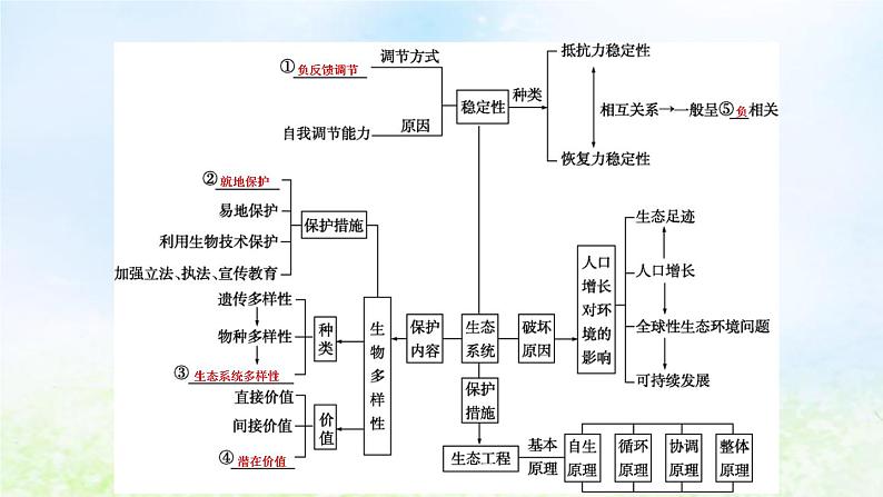 2023届高考生物二轮复习第16讲生态系统的稳定性及环境保护课件第4页