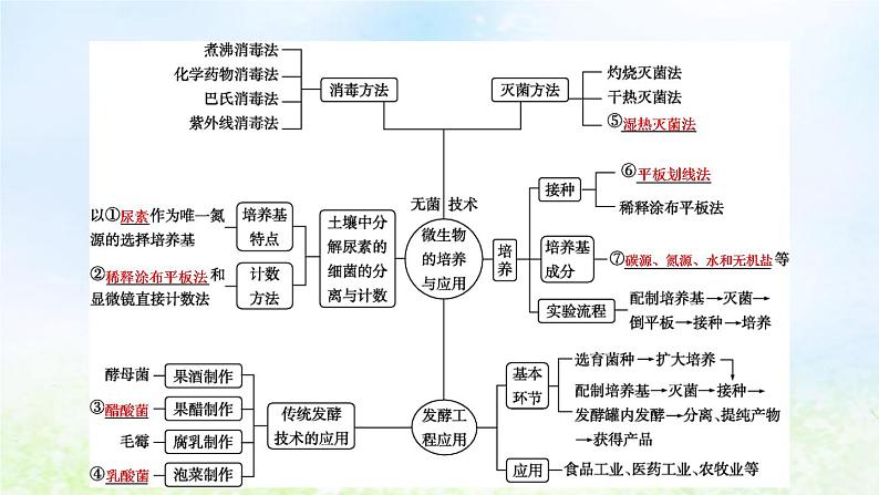 2023届高考生物二轮复习第17讲发酵工程课件04