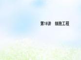 2023届高考生物二轮复习第18讲细胞工程课件
