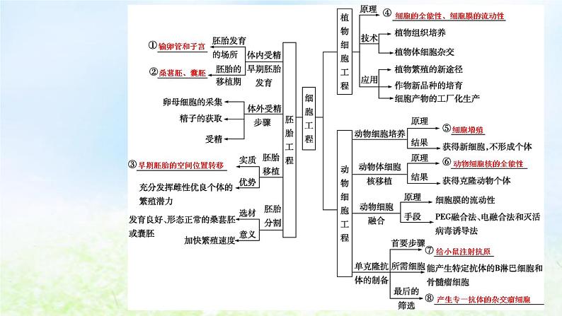 2023届高考生物二轮复习第18讲细胞工程课件第4页