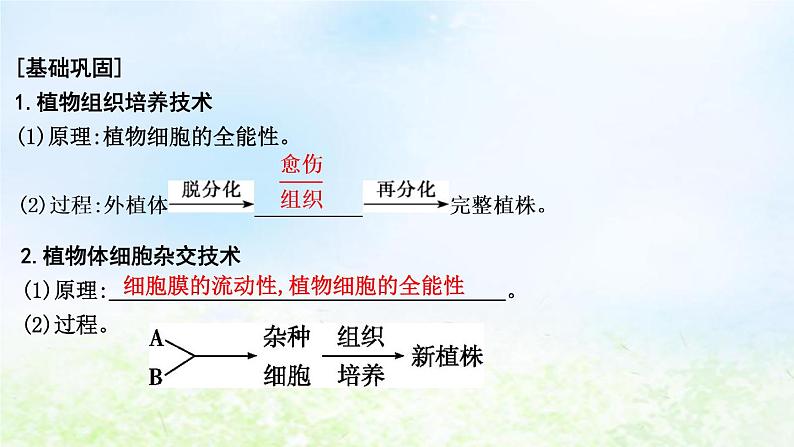 2023届高考生物二轮复习第18讲细胞工程课件第8页