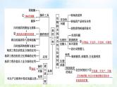 2023届高考生物二轮复习第19讲基因工程及生物技术的安全性与伦理问题课件