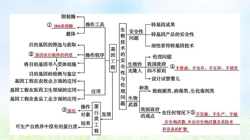 2023届高考生物二轮复习第19讲基因工程及生物技术的安全性与伦理问题课件第4页