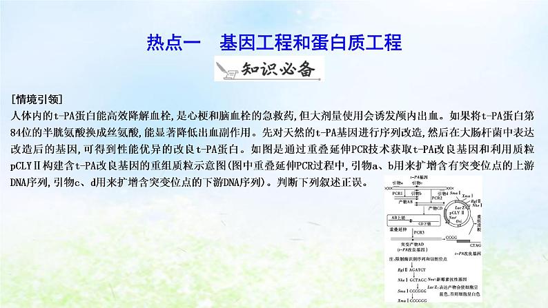 2023届高考生物二轮复习第19讲基因工程及生物技术的安全性与伦理问题课件第6页