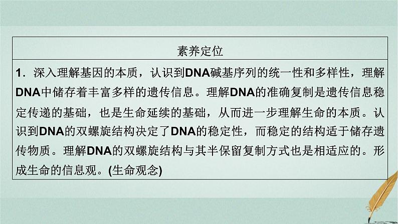 2023届高考生物二轮复习DNA的结构与DNA复制课件第6页