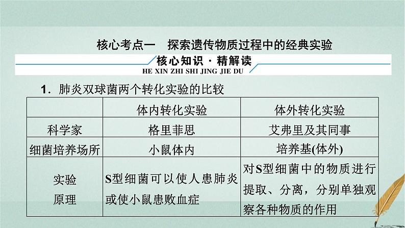 2023届高考生物二轮复习DNA是主要的遗传物质课件第8页