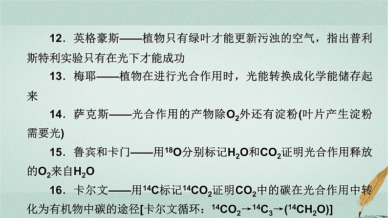 2023届高考生物二轮复习教材经典实验课件05