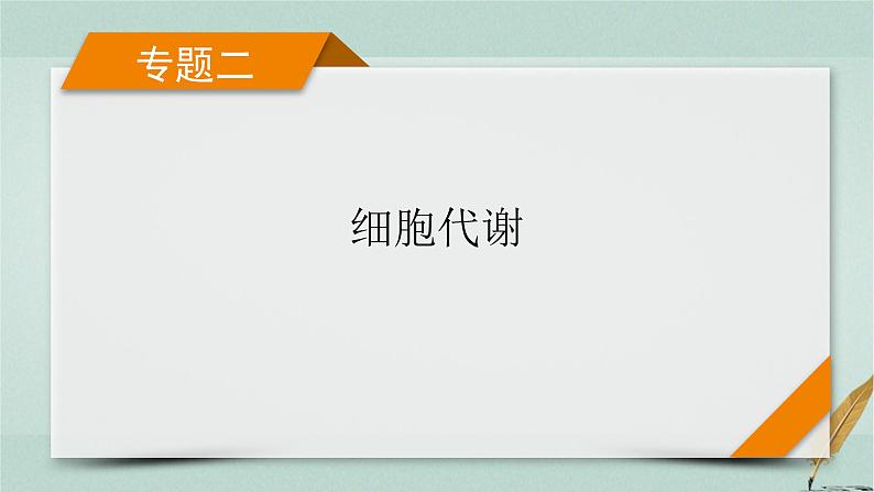 2023届高考生物二轮复习酶与ATP课件01