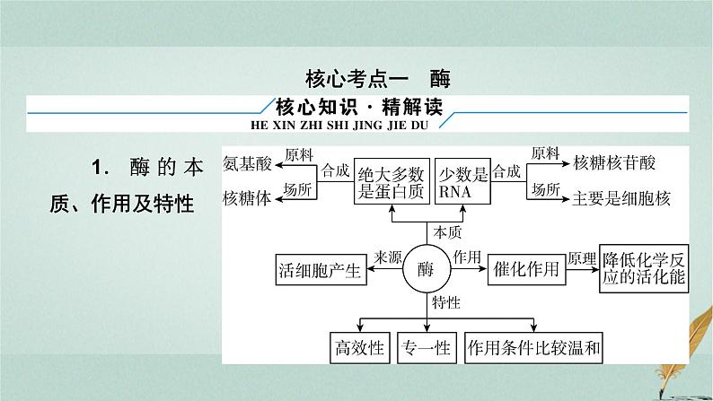 2023届高考生物二轮复习酶与ATP课件07