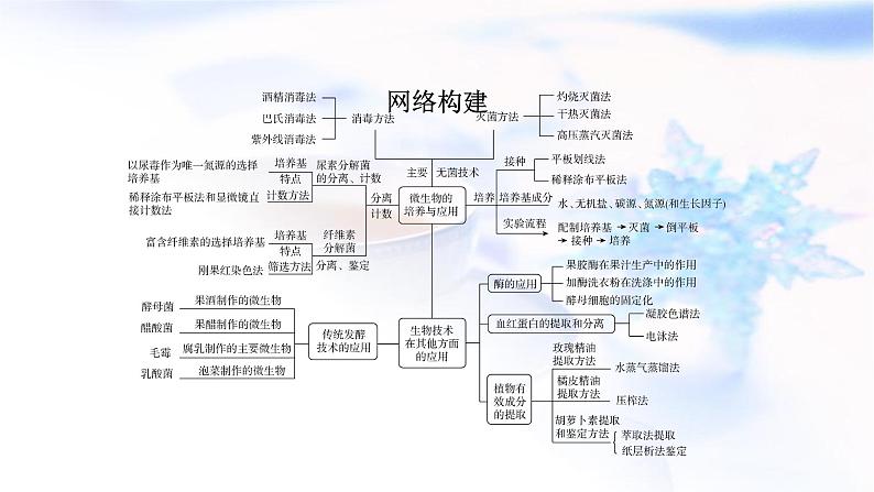 2023届高考生物二轮复习生物技术实践课件第2页