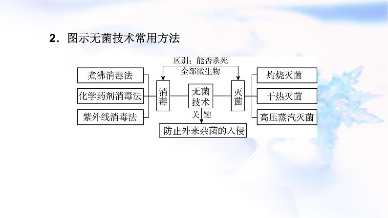 2023届高考生物二轮复习生物技术实践课件第8页