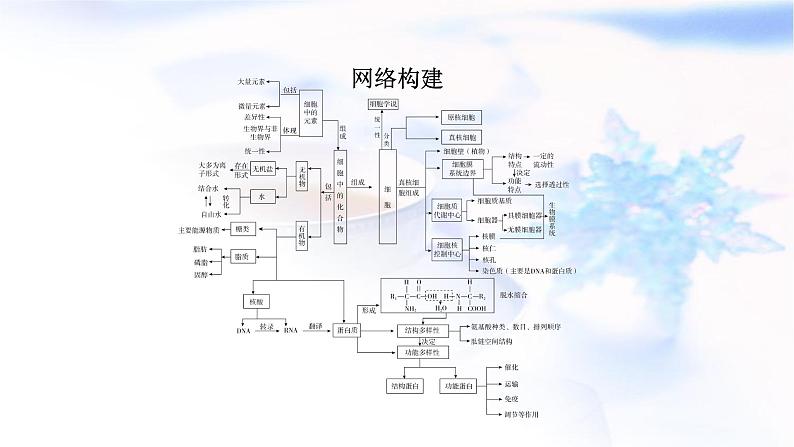 2023届高考生物二轮复习细胞的物质基础和结构基础课件第2页