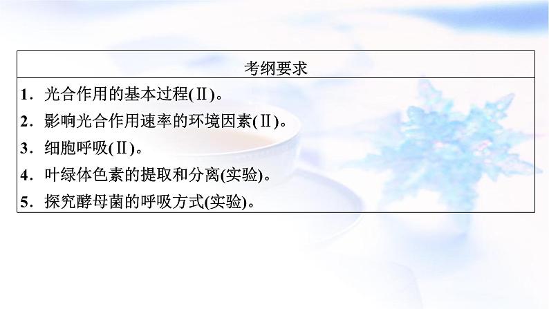 2023届高考生物二轮复习细胞呼吸与光合作用课件第5页