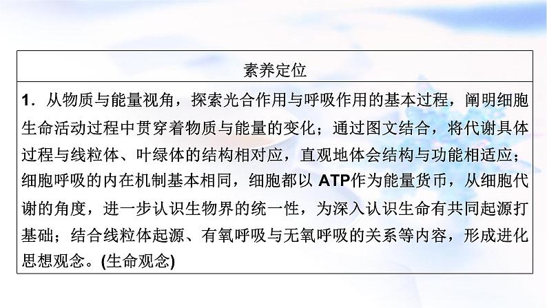 2023届高考生物二轮复习细胞呼吸与光合作用课件第6页