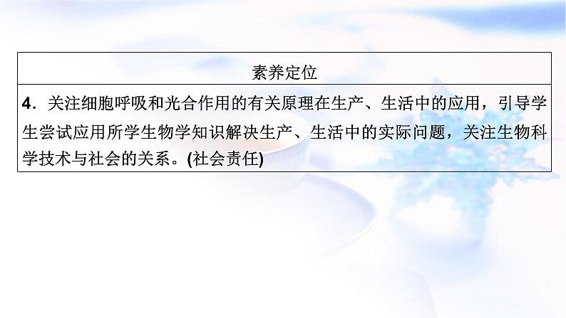 2023届高考生物二轮复习细胞呼吸与光合作用课件第8页