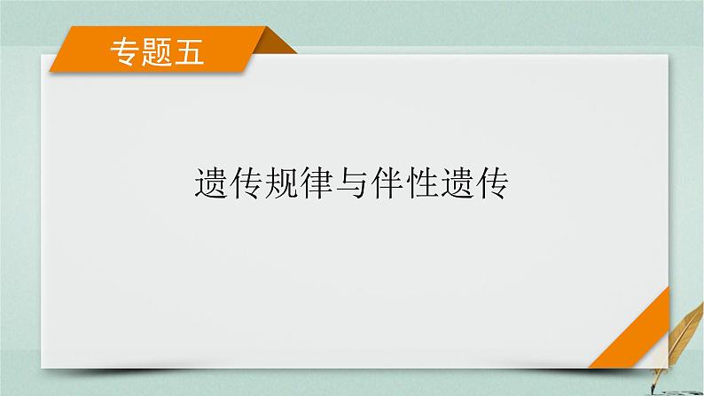 2023届高考生物二轮复习遗传的基本规律课件01