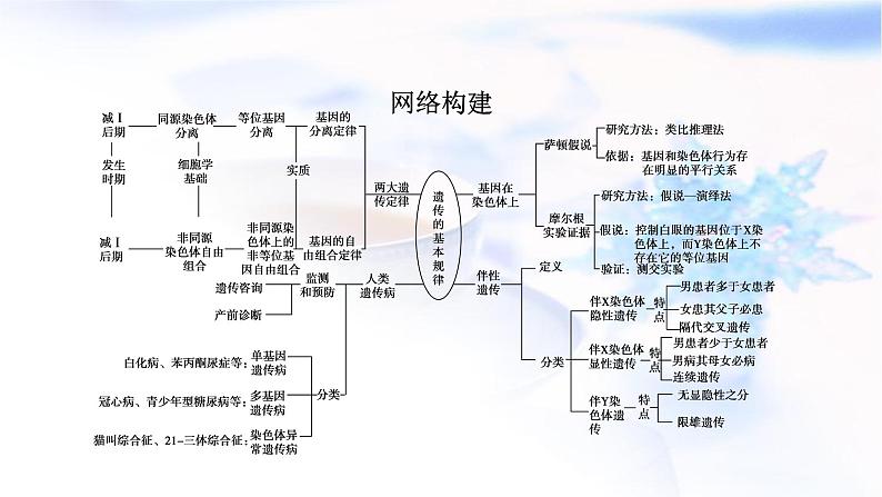 2023届高考生物二轮复习遗传的基本规律课件02