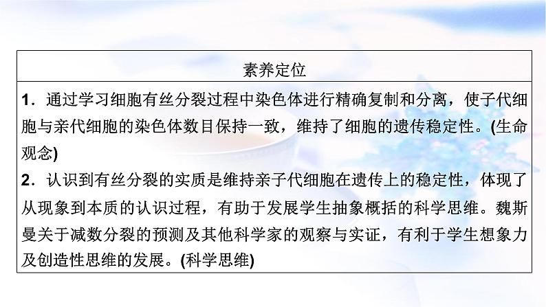 2023届高考生物二轮复习有丝分裂与减数分裂课件07