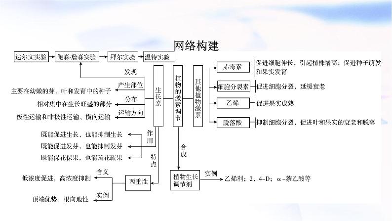 2023届高考生物二轮复习植物激素调节课件02