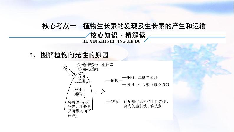 2023届高考生物二轮复习植物激素调节课件08