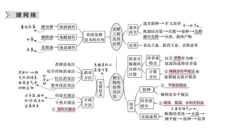 2023届高考生物二轮复习发酵工程课件第5页