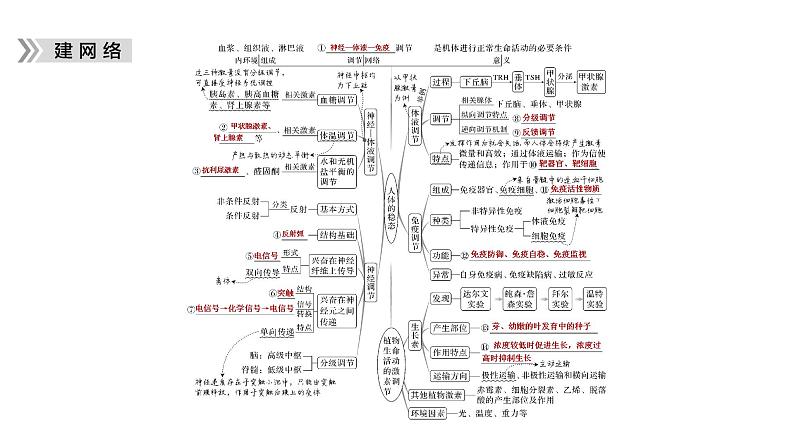 2023届高考生物二轮复习个体生命活动的调节课件第5页