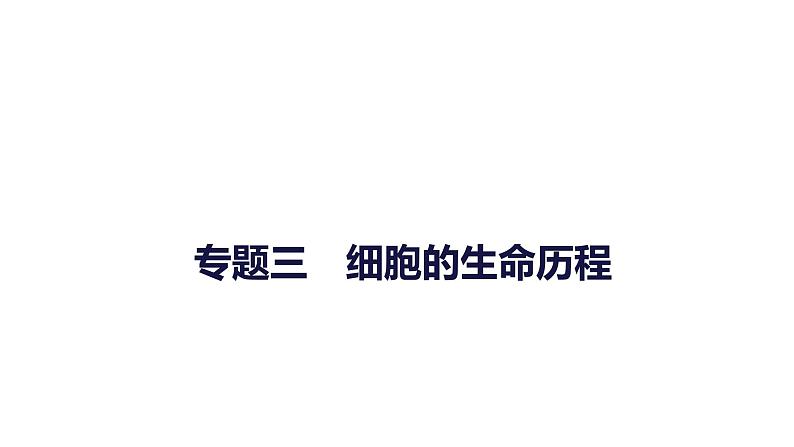 2023届高考生物二轮复习细胞的生命历程课件第1页