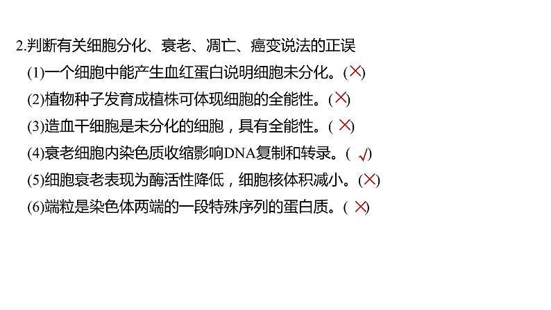 2023届高考生物二轮复习细胞的生命历程课件第8页