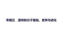 2023届高考生物二轮复习遗传的分子基础、变异与进化课件