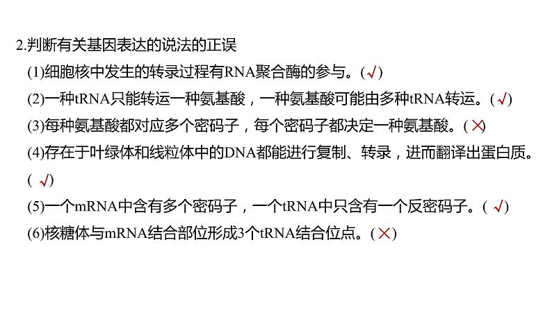 2023届高考生物二轮复习遗传的分子基础、变异与进化课件08