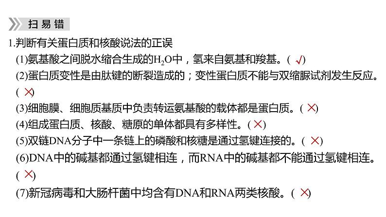 2023届高考生物二轮复习细胞的分子组成、结构和物质运输课件06