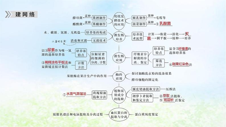 2023届高考生物二轮复习生物技术实践课件05