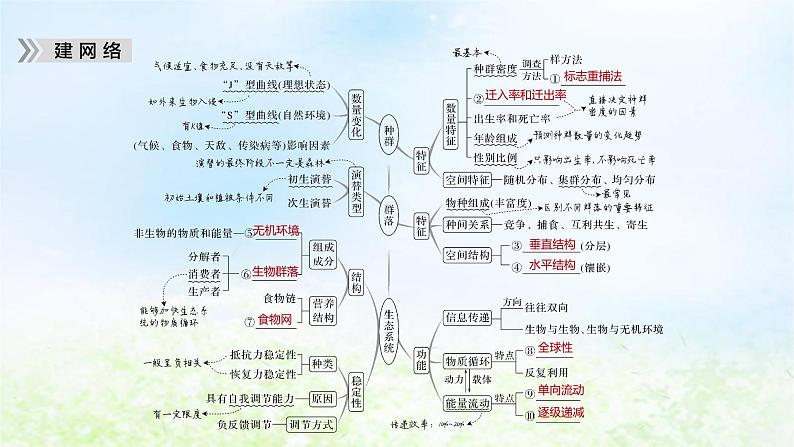 2023届高考生物二轮复习生物与环境课件05