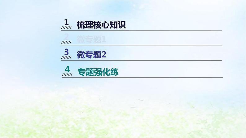 2023届高考生物二轮复习实验与探究课件第3页