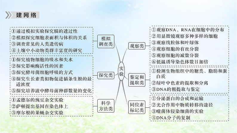 2023届高考生物二轮复习实验与探究课件第5页