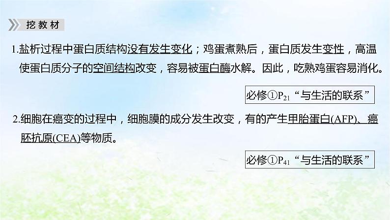 2023届高考生物二轮复习细胞的分子组成、结构和物质运输课件课件06