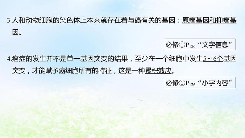 2023届高考生物二轮复习细胞的生命历程课件第7页