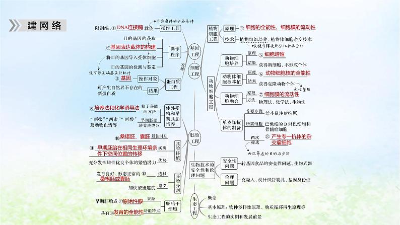 2023届高考生物二轮复习现代生物科技专题课件05