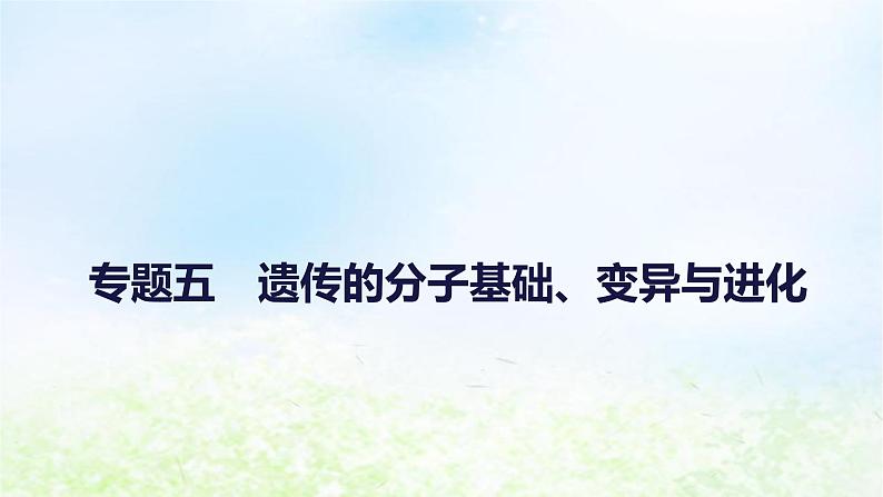 2023届高考生物二轮复习遗传的分子基础、变异与进化课件01