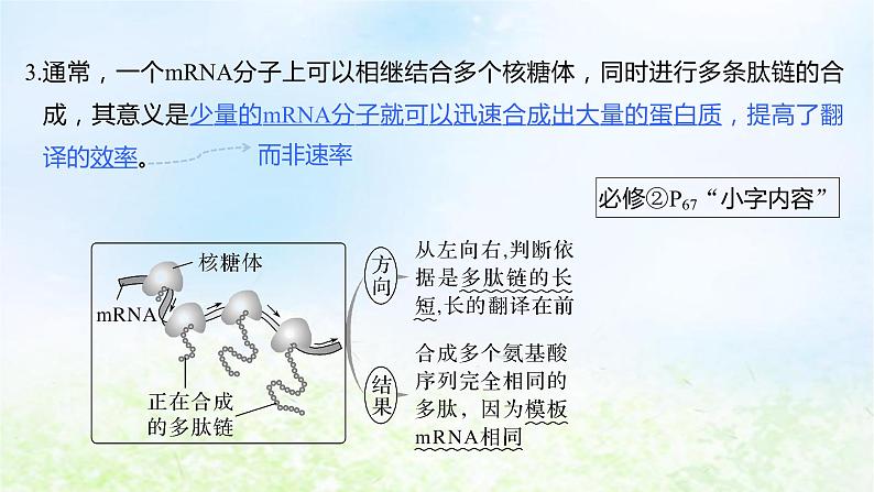 2023届高考生物二轮复习遗传的分子基础、变异与进化课件07