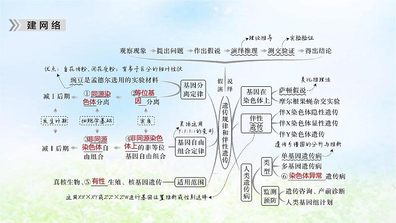 2023届高考生物二轮复习遗传规律和伴性遗传课件05