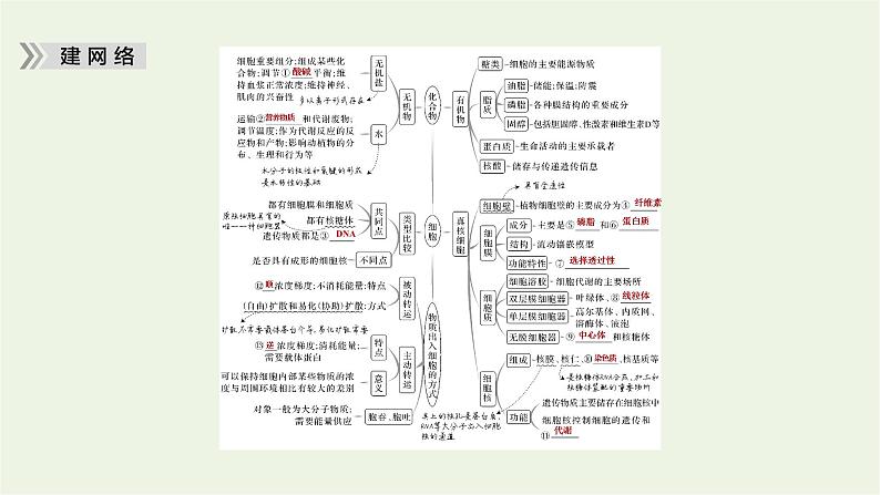 2023届高考生物二轮复习细胞的分子组成、结构和物质运输课件05