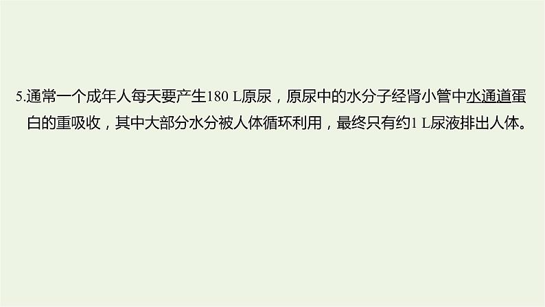 2023届高考生物二轮复习细胞的分子组成、结构和物质运输课件08