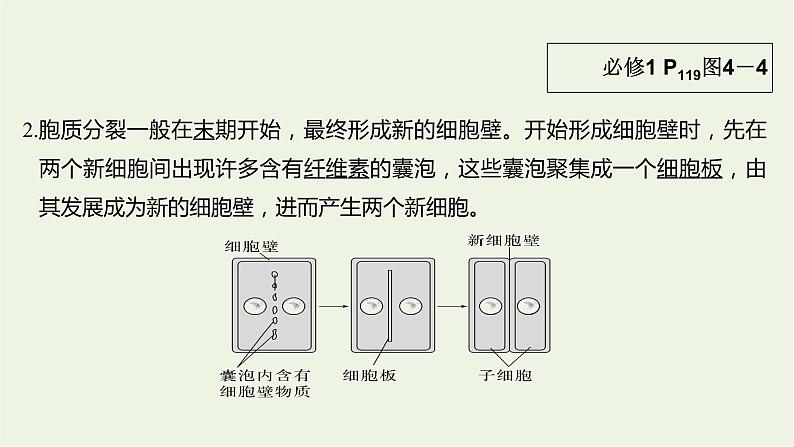 2023届高考生物二轮复习细胞的生命历程课件07