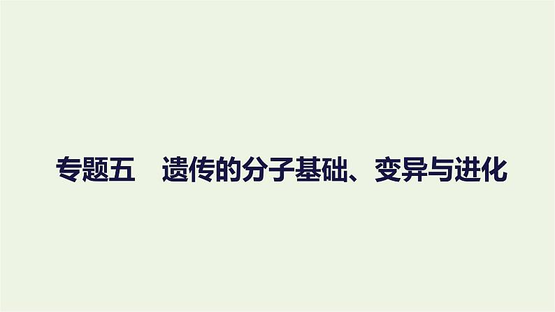 2023届高考生物二轮复习遗传的分子基础、变异与进化课件01