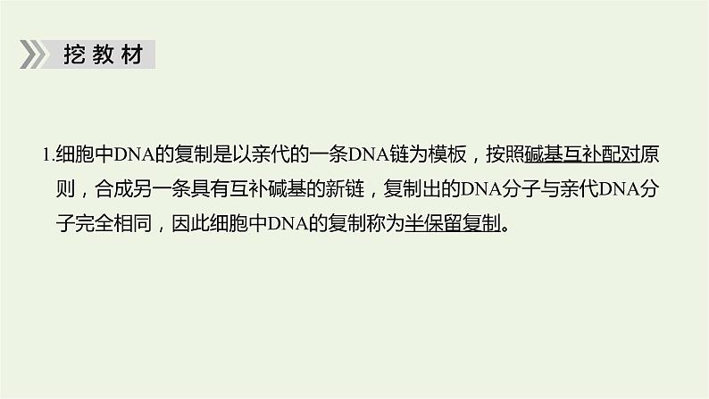 2023届高考生物二轮复习遗传的分子基础、变异与进化课件06